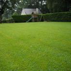 Graszaad microklaver Ecoflora, Tuin en Terras, Gras en Kunstgras, Ophalen of Verzenden, Nieuw, 20 m² of meer, Gras