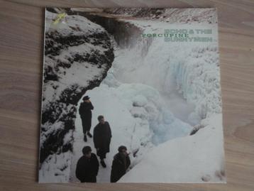 VINYL - Echo & The Bunnymen – Porcupine - LP