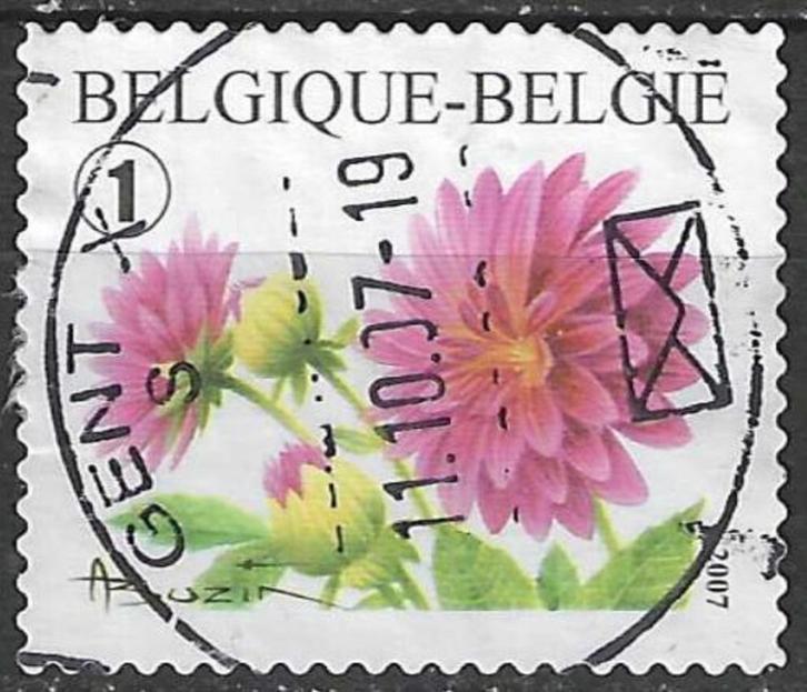Belgie 2007 - Yvert 3701 /OBP 3684 - Dahlia (ST), Postzegels en Munten, Postzegels | Europa | België, Gestempeld, Verzenden