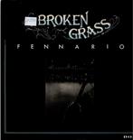 Vinyl, lp 12"    /   Broken Grass – Fennario, CD & DVD, Vinyles | Autres Vinyles, 12 pouces, Enlèvement ou Envoi