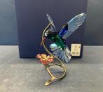 Swarovski Paradise Kolibri, Ophalen of Verzenden, Nieuw, Figuurtje