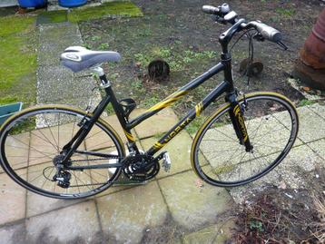 Carbonne sportieve damesfiets Norta , maat 50 , 3 jaar oud, Fietsen en Brommers, Fietsen | Dames | Damesfietsen, Ophalen, Sparta