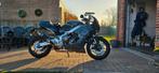 XSR900GP Power Grey + Racer Pack, Motoren, Motoren | Yamaha
