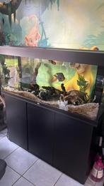 Grand aquarium à vendre, Animaux & Accessoires, Enlèvement ou Envoi, Comme neuf
