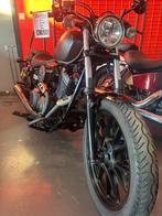 Yamaha xv950 met vele opties, 950 cm³, Permis Moto A, Entreprise, Plus de 35 kW