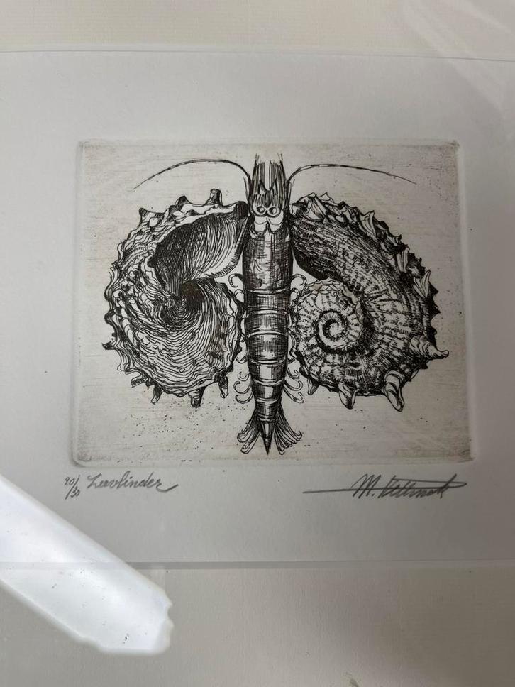 Ets Marc Plettinck - zeevlinder - oostende - garnalen, Antiek en Kunst, Kunst | Etsen en Gravures, Ophalen of Verzenden