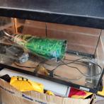 Aquarium 60cm met filterpomp, lichtkap en achterwandpo, Dieren en Toebehoren, Ophalen, Zo goed als nieuw