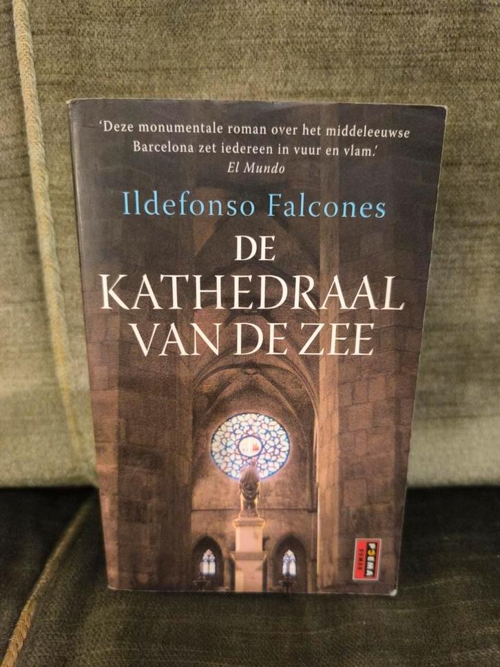 De kathedraal van de zee.   (Ildefonso Falcones), Boeken, Literatuur, Zo goed als nieuw, Ophalen of Verzenden