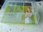 knaagdieren kooi, Kooi, Minder dan 75 cm, Zo goed als nieuw, Hamster
