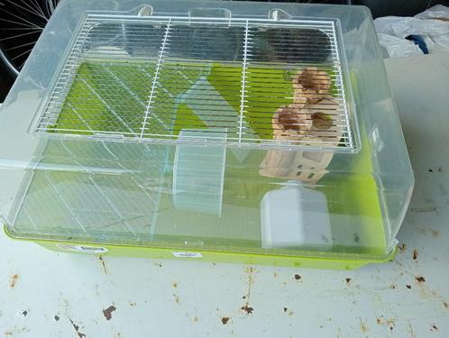 knaagdieren kooi, Dieren en Toebehoren, Knaagdieren en Konijnen | Hokken en Kooien, Zo goed als nieuw, Kooi, Minder dan 60 cm