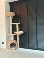 Krabpaal beige Laguna, Dieren en Toebehoren, Katten en Kittens | Raskatten | Korthaar, Meerdere dieren, 0 tot 2 jaar