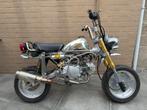 Moto Monkey - 125cc, Motoren, Particulier
