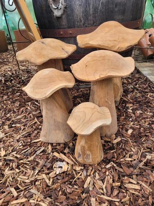 Setje van 5 Teak houten paddestoelen, decoratief in de tuin, Tuin en Terras, Overige Tuin en Terras, Zo goed als nieuw, Ophalen of Verzenden