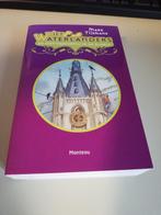 Boek 'Wiet Waterlanders en Sint-Preventia in de Gloria', Boeken, Kinderboeken | Jeugd | 10 tot 12 jaar, Mark Tijsmans, Nieuw, Ophalen of Verzenden