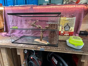 Gerbil/hamster of andere knaagdieren kooi beschikbaar voor biedingen