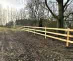 Paardenomheining 'Budget'-model met 2 of 3 liggers., Weidegang, 2 of 3 paarden of pony's