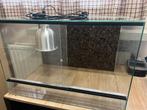 terrarium voor reptiel, Dieren en Toebehoren, Ophalen, Zo goed als nieuw, Terrarium of Paludarium