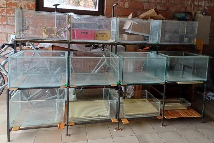 Aquarium stelling, Dieren en Toebehoren, Vissen | Aquaria en Toebehoren, Gebruikt, Leeg aquarium, Ophalen