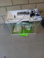 Beginners aquarium, Ophalen of Verzenden, Zo goed als nieuw