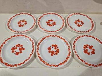 Set van 6 grote arcopal lotus borden  beschikbaar voor biedingen