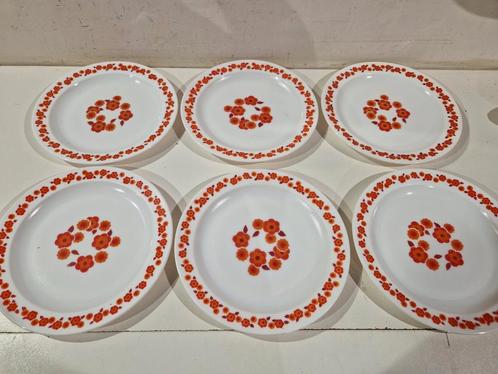 Set van 6 grote arcopal lotus borden, Huis en Inrichting, Keuken | Servies, Zo goed als nieuw, Bord(en), Ophalen of Verzenden