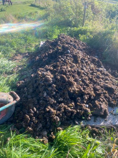 GRATIS PAARDEN MEST!!!, Tuin en Terras, Aarde en Mest, Mest, Ophalen