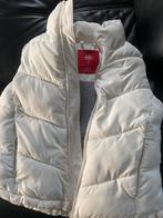 Blouson blanc sans manche Esprit, Kleding | Dames, Bodywarmers, Ophalen, Zo goed als nieuw