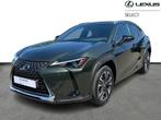 Lexus UX 250h Executive Line, Automaat, Euro 6, Bruin, 5 deurs
