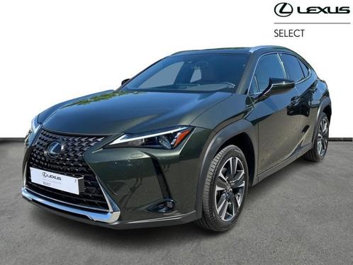 Lexus UX 250h Executive Line, Auto's, Lexus, UX, Adaptive Cruise Control, Airbags, Airconditioning, Bluetooth, Boordcomputer, Centrale vergrendeling