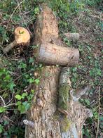 Brandhout te koop, Tuin en Terras, Brandhout, Ophalen