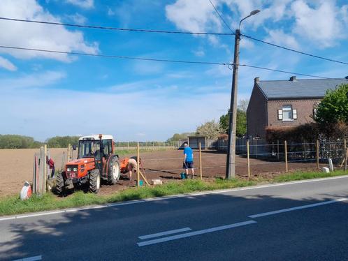 Weide te huur, Dieren en Toebehoren, Stalling en Weidegang, Weidegang, 1 paard of pony