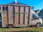 2 paards camionette, Bedrijf, Te koop