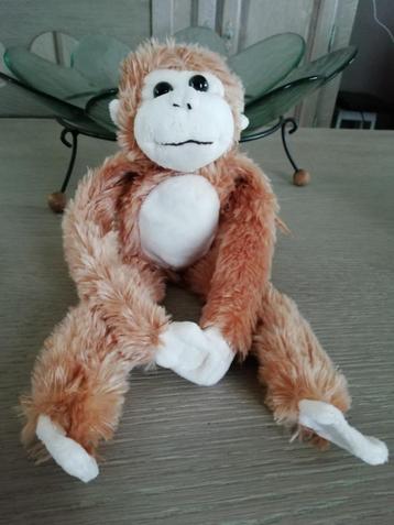 verschillende knuffelaapjes beschikbaar voor biedingen