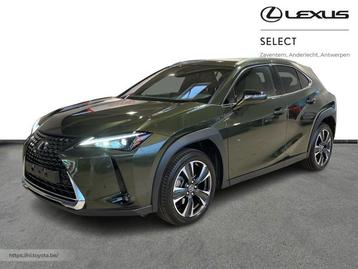 Lexus UX 250h Executive Line & Roof  beschikbaar voor biedingen