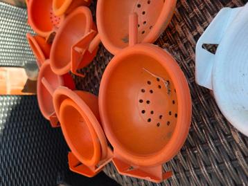 Nestjes voor kanarie s beschikbaar voor biedingen