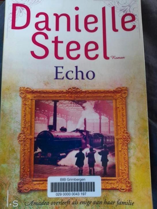 Danielle Steel - Echo, Boeken, Romans, Nederland, Ophalen of Verzenden