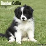 Calendrier des chiots Border Collie 2018, Divers, Calendriers, Envoi, Calendrier annuel, Neuf