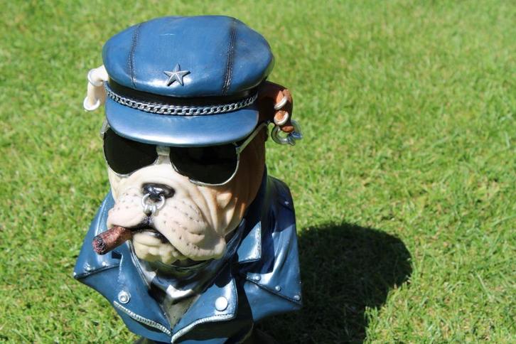 Standbeeld een hondenbuste met een sigaar.., Huis en Inrichting, Woonaccessoires | Overige, Nieuw, Ophalen