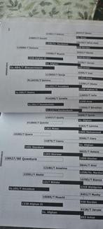 Haflinger merrie, Dieren en Toebehoren, Paarden, Merrie, Minder dan 160 cm, Met stamboom, Zadelmak