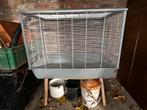 kooi voor knaagdieren gratis af te halen, Dieren en Toebehoren, Ophalen, Gebruikt, Kooi, Hamster
