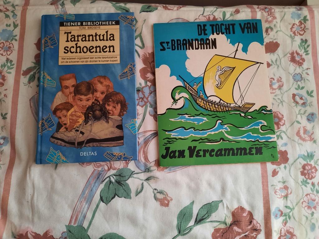 2 tienerboeken, Ophalen, Gelezen