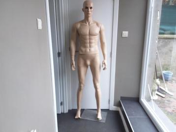 Volledige mannequin beschikbaar voor biedingen