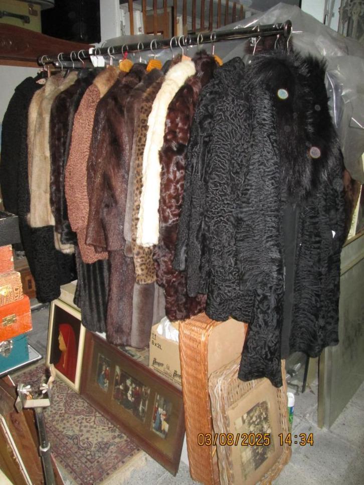 lot van 30 bontjassen voor slechts 500 euro, Kleding | Dames, Jassen | Winter, Zo goed als nieuw, Ophalen