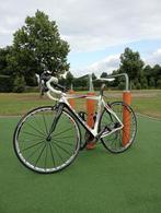 Pinarello dogma, Fietsen en Brommers, Fietsen | Racefietsen, Overige merken, 28 inch, Carbon, Heren