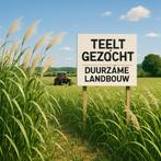 Gezocht: landbouwgrond voor duurzame miscanthusteelt, Immo