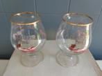 delirium pink  bierglazen, Enlèvement ou Envoi