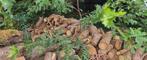 Brandhout +-3 m3 spar en +-1 m3 fruit, 3 tot 6 m³, Ophalen, Overige houtsoorten, Blokken