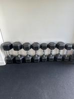 Professional Dumbbell Set, Sport en Fitness, Ophalen, Zo goed als nieuw, Dumbbell