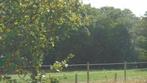 Terrain forestier Noorderwijk/Herentals, 1500 m² ou plus