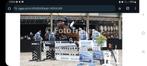 2 Springpaarden zoeken ruiter, Dieren en Toebehoren, Paarden, Merrie, ZZ, Springpaard, 3 tot 6 jaar